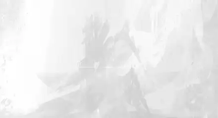 Guild Wars 2® Game Cover