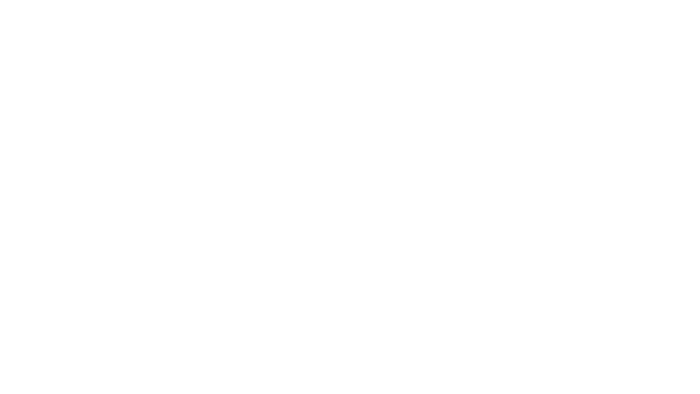 Wolfenstein: The New Order Game Logo