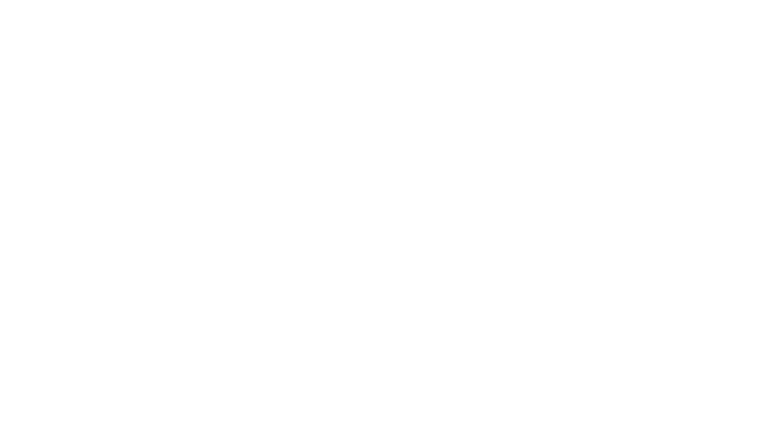 Ring Runner: Flight of the Sages Game Logo