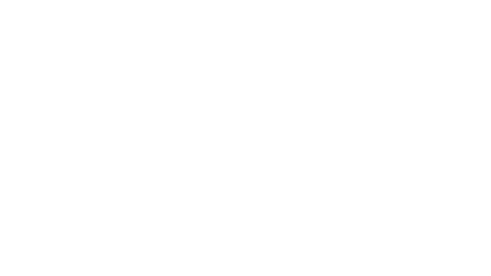 Town to City Game Logo