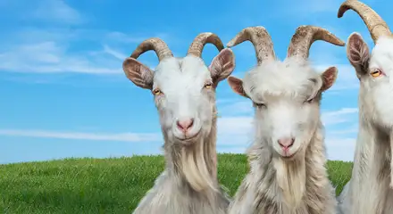 Goat Simulator 3 Game Cover