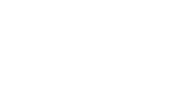 DEATH STRANDING DIRECTOR'S CUT logo