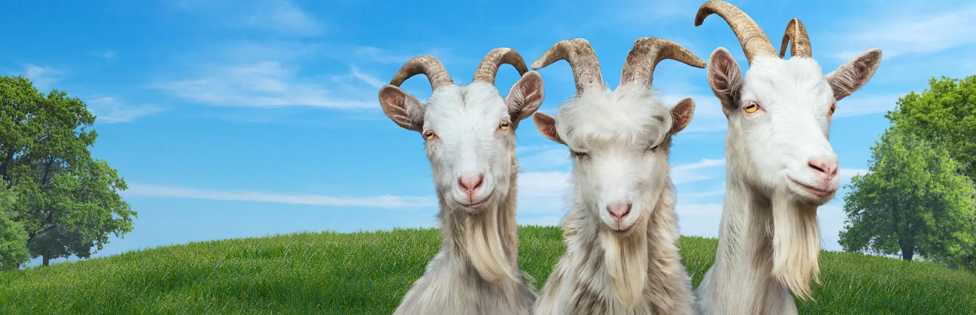 Goat Simulator 3 background