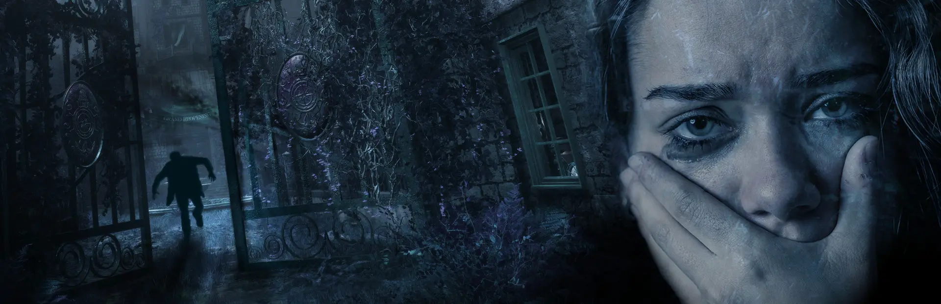 Maid of Sker background