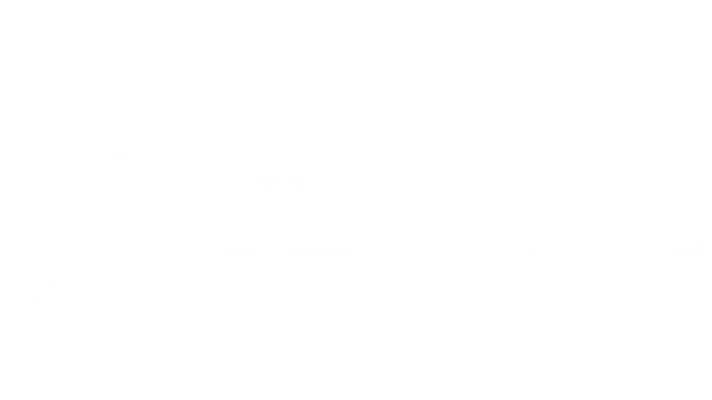 Soulstice logo