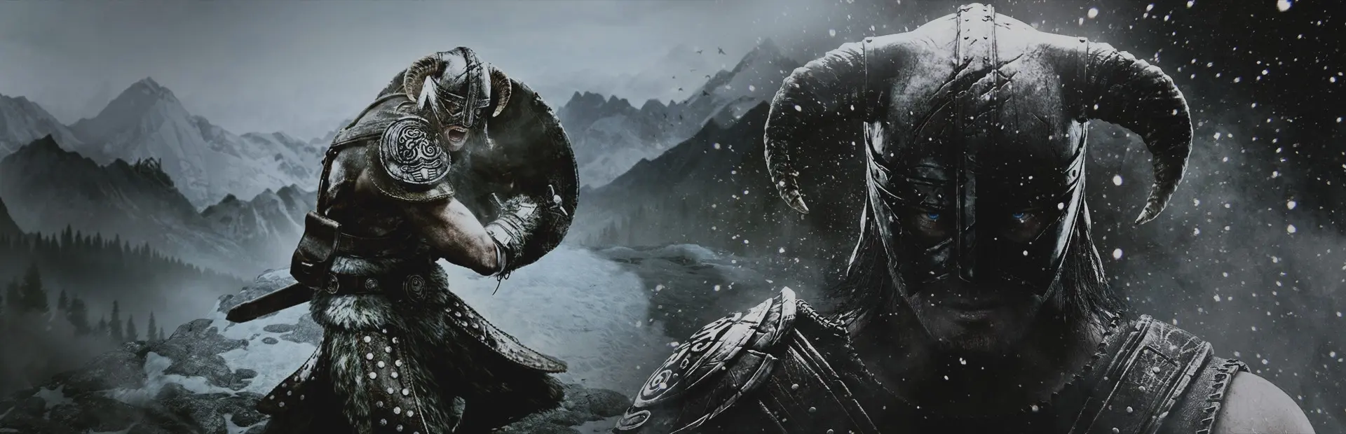 The Elder Scrolls V: Skyrim Special Edition background