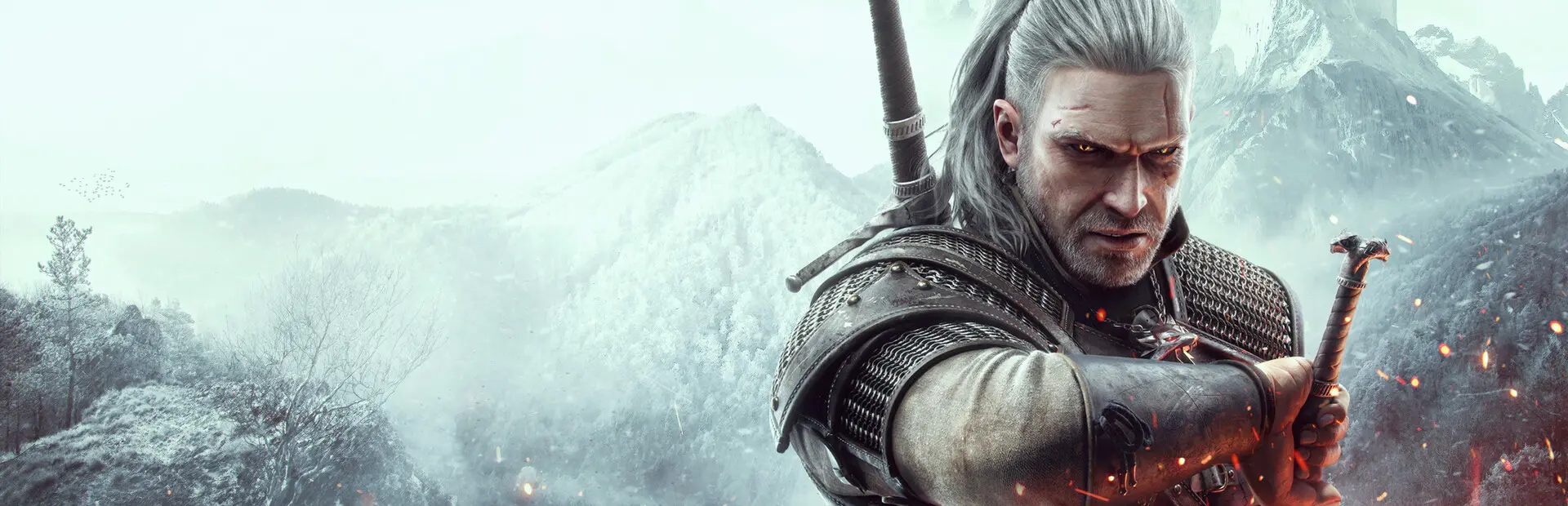The Witcher 3: Wild Hunt background